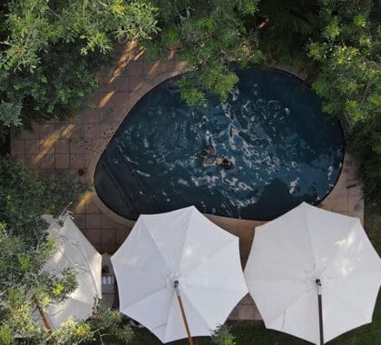 The lodge swimming pool.