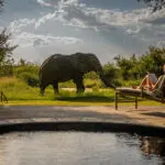 Relax next to your private plunge pool and enjoy wildlife sightings from the comfort of your deck.