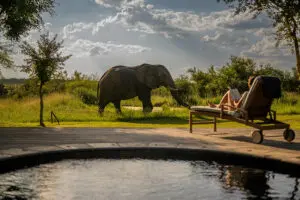 Relax next to your private plunge pool and enjoy wildlife sightings from the comfort of your deck. 
