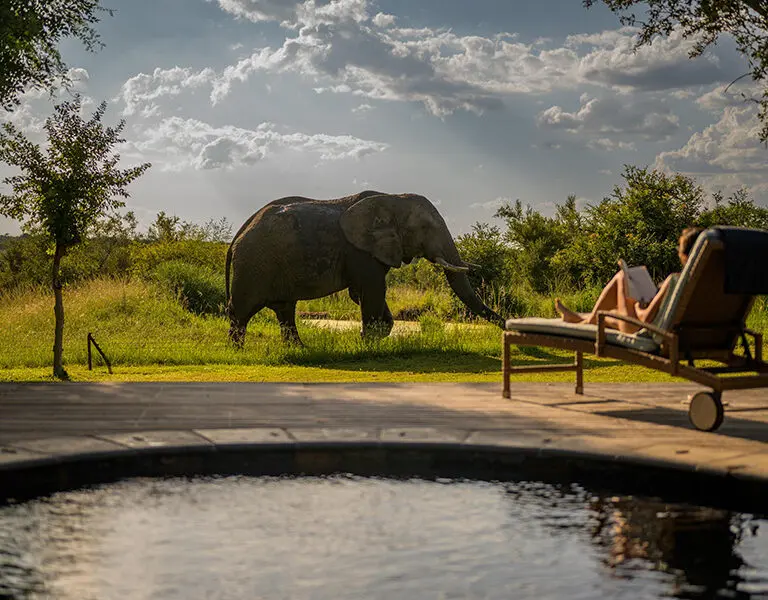 Relax next to your private plunge pool and enjoy wildlife sightings from the comfort of your deck. 