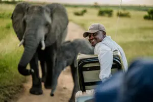 Daily game drives in a private concession with a guide and tracker per vehicle.