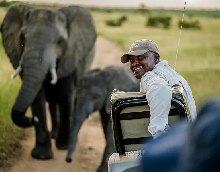 Daily game drives in a private concession with a guide and tracker per vehicle.