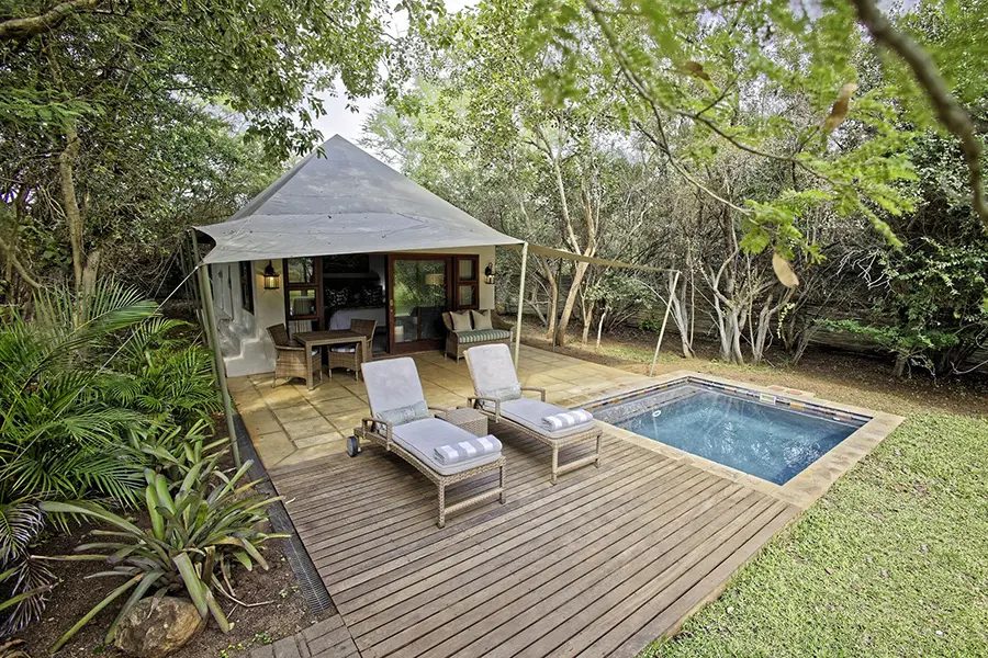 savanna-private-game-lodge-sabi-sands-kruger-savanna_luxury_suite_61