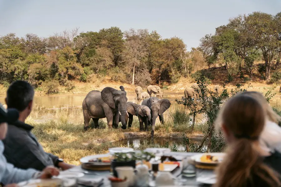 Guests watching elephants from a safari lodge in a private game reserve | Go2Africa