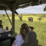 Game drives offer a close-up view of wildlife in its natural setting | Governors' Camp