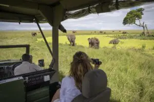 Game drives offer a close-up view of wildlife in its natural setting | Governors' Camp