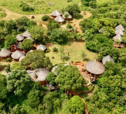 The lodge is surrounded by lush trees and offers a sought-after sense of seclusion.