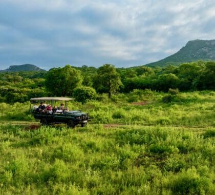 Embark on guided game drives through the untouched wilderness.