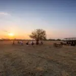 Découvrez un safari privé entouré d'une nature sauvage intacte.