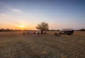 Découvrez un safari privé entouré d'une nature sauvage intacte.
