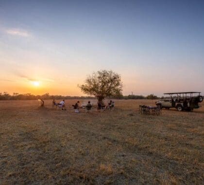 Experience a private safari surrounded by untouched wilderness.