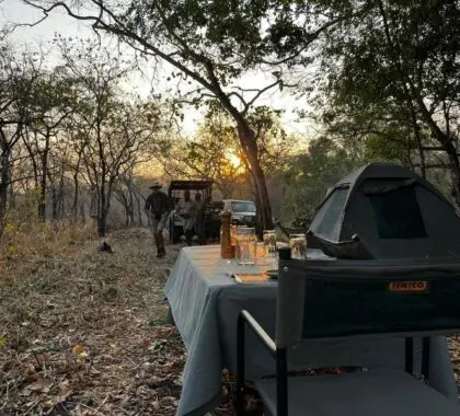 Delicious, hearty meals are served under the African night sky.