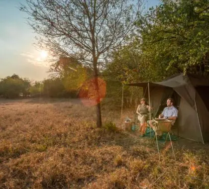 Enjoy the privacy of your own tent in the bush.
