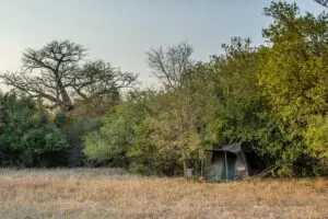 Chaque tente de safari est installée avec expertise par l'équipe du camp. 