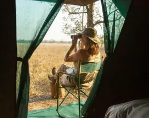 Spot roaming wildlife from the comfort of your tent.