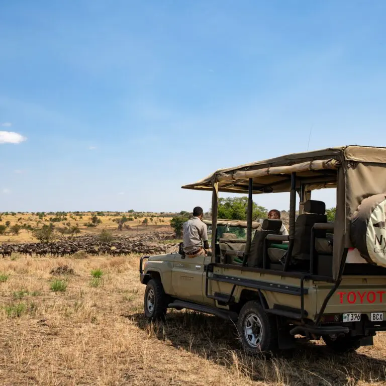 nyikani-camp-fb-game-drive-migration
