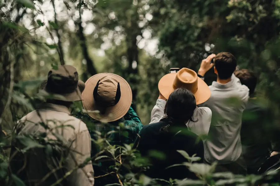 Group of travelers walking through the lush rainforest of Uganda's Bwindi Impenetrable Forest | Go2Africa