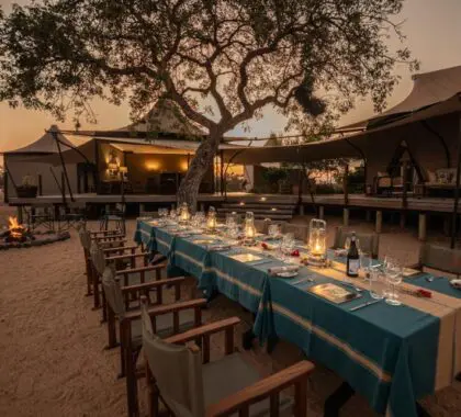 Enjoy delicious dinners under the stars.