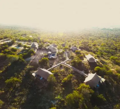 Stay surrounded by untouched wilderness.