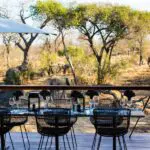 Serondella Watch wildlife gather as you enjoy a delicious meal.