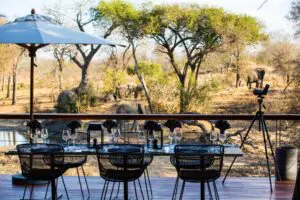 Serondella Watch wildlife gather as you enjoy a delicious meal. 