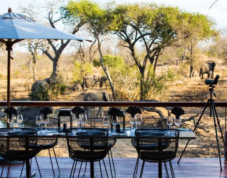 Serondella Watch wildlife gather as you enjoy a delicious meal. 