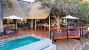Enjoy a dip in the main swimming pool. 