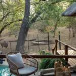 Spot wildlife from your deck. 