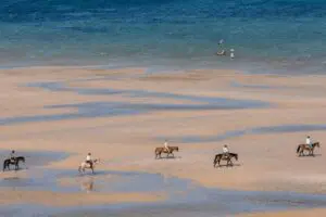 Experience Mozambique's coastline from the saddle | Santorini Mozambique