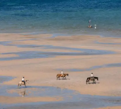 Experience Mozambique's coastline from the saddle | Santorini Mozambique