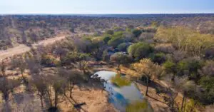 Enjoy an intimate safari overlooking a private waterhole. 