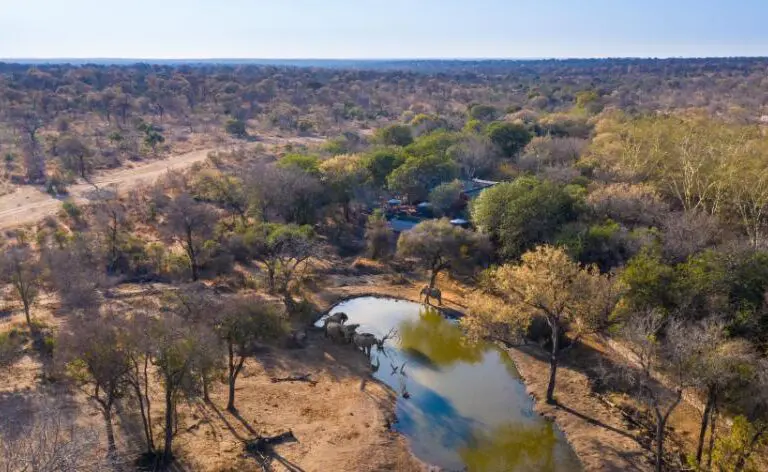 Enjoy an intimate safari overlooking a private waterhole. 