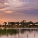 Stay on the banks of a permanent lagoon in the Okavango Delta.