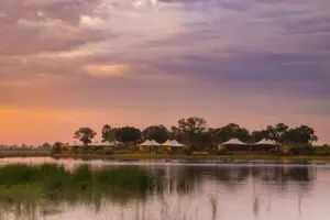 Stay on the banks of a permanent lagoon in the Okavango Delta.