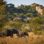 Spot passing wildlife from the comfort of your suite.