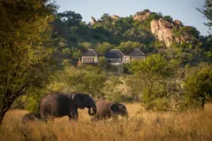 Spot passing wildlife from the comfort of your suite. 