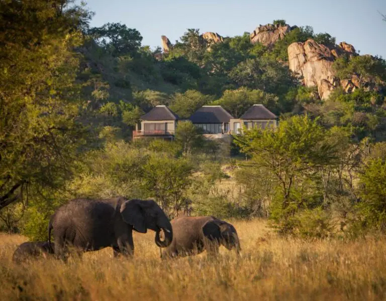 Spot passing wildlife from the comfort of your suite. 