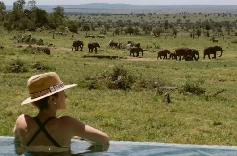 four-seasons-serengeti-sbt_1166_original