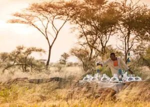 Enjoy sundowners in the savannah.