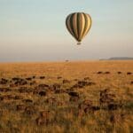 Soar above the savannah in a hot air balloon.