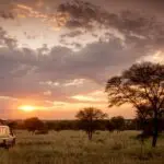 Spot the Big Five on guided game drives.