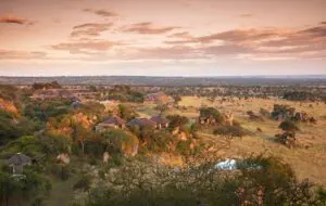 Enjoy a stay immersed in the  Serengeti wilderness.