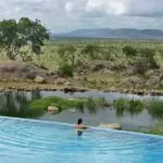 Watch animals gather at the waterhole in front of the lodge.