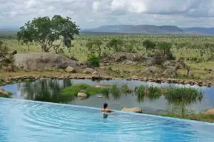 Watch animals gather at the waterhole in front of the lodge.