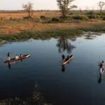 Glide through the Delta on a Mokoro.
