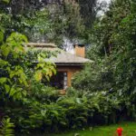 Stay surrounded by lush rainforest terrain.