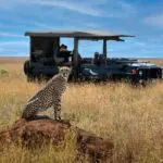 Spot an array of wildlife of twice daily game drives | Suyian Homestead
