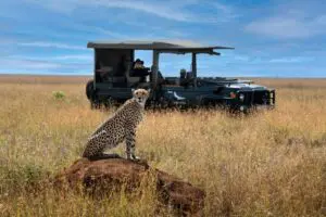 Spot an array of wildlife of twice daily game drives | Suyian Homestead