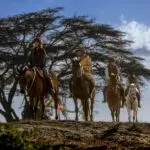 Head out on a horse riding safari through the bush.