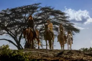 Head out on a horse riding safari through the bush.